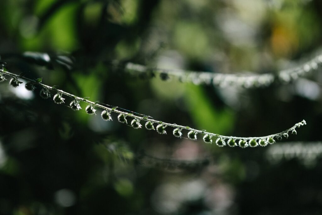 Retreats « Karen Maezen Miller